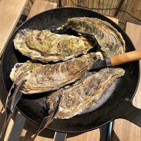 タークフライパン