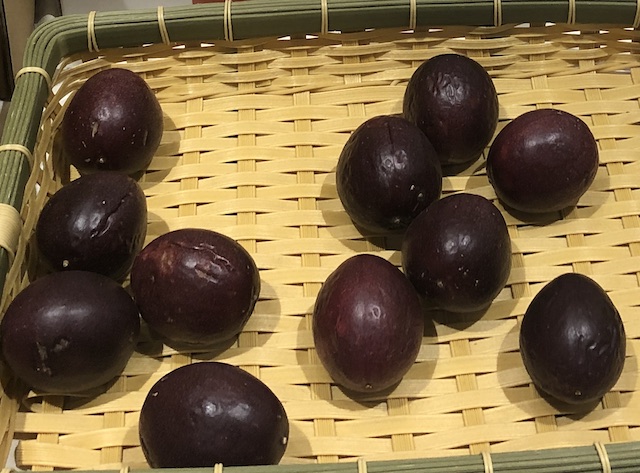 パッションフルーツ 育て方