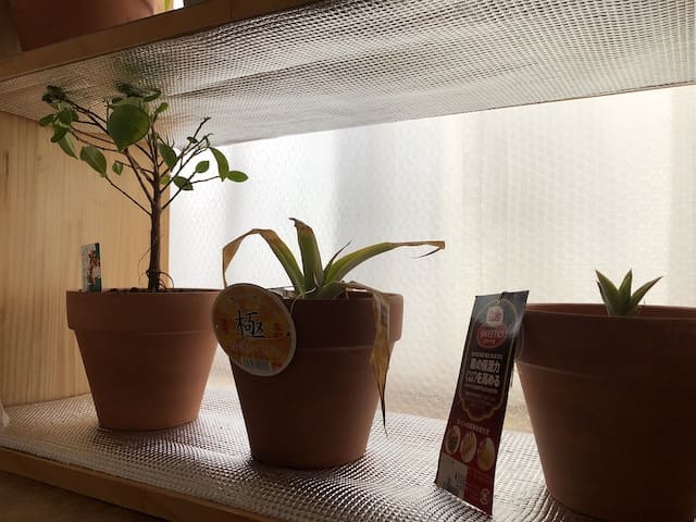 温室 DIY