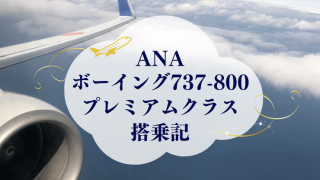 ボーイング738