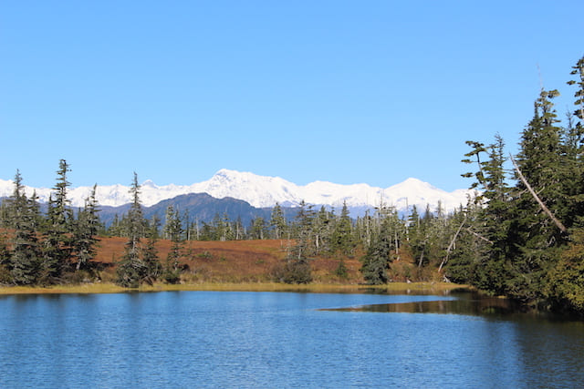 アラスカ　氷河